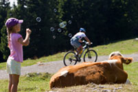 18. August: Grazer Bike-Marathon Stattegg 18. August: Grazer Bike-Marathon Stattegg