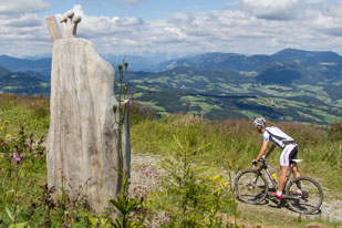 16. August: SchÃ¶ckl Gipfelsturm und Marathon in Stattegg