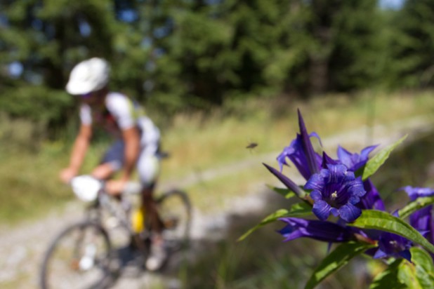 Der Grazer BikeMarathon Stattegg 2011